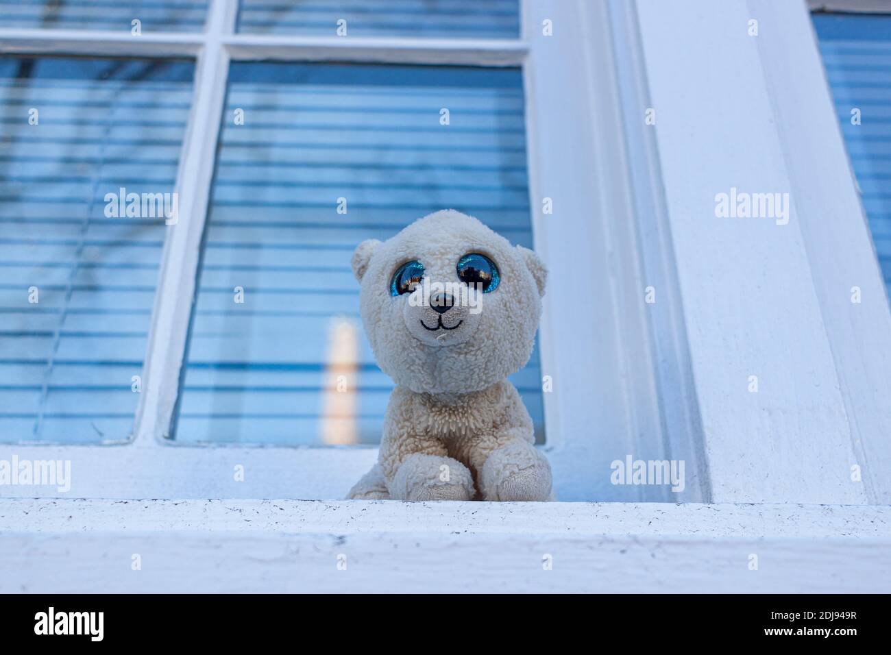 Un piccolo cane peluche piccolo cute peluche con pellicce bianche e gli occhi blu lucenti sono lasciati sul davanzale della finestra All'esterno di un building.The giocattolo sorridente cane è un bel it Foto Stock