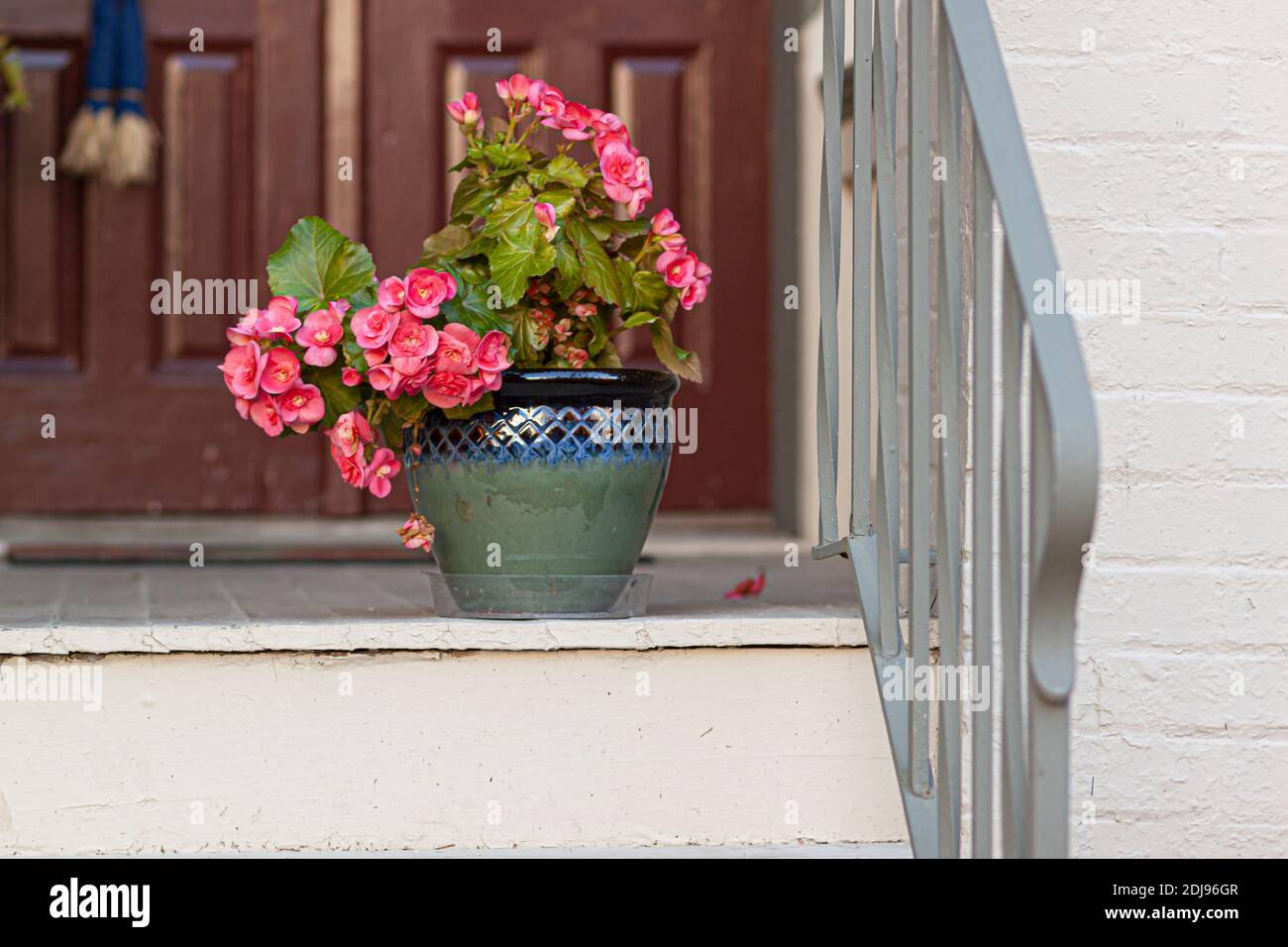 Fiori di geranio rosa in una pentola di ceramica di argilla lucidata decorativa di fronte all'ingresso di una casa d'epoca. Ci sono ringhiere di metallo, scale, mattoni w Foto Stock