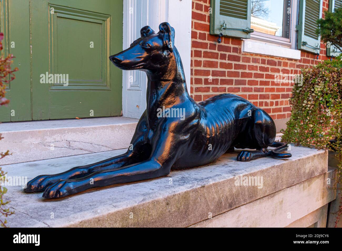 Un modello di cane nero lucido decorativo messo di fronte all'entrata di uno storico edificio in mattoni nella città vecchia. La scultura cane guardia su pavimento in cemento ha Foto Stock