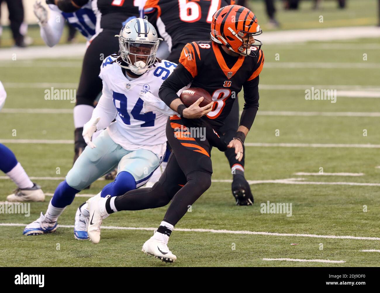 Cincinnati, Stati Uniti. 13 Dicembre 2020. Il quarto di Cincinnati Bengals Brandon Allen (8) corre il calcio sotto pressione del DeMarcus Lawrence dei Dallas Cowboys (90) durante la prima metà del gioco al Paul Brown Stadium di Cincinnati, Ohio, domenica 13 dicembre 2020. Foto di John Sommers II /UPI Credit: UPI/Alamy Live News Foto Stock