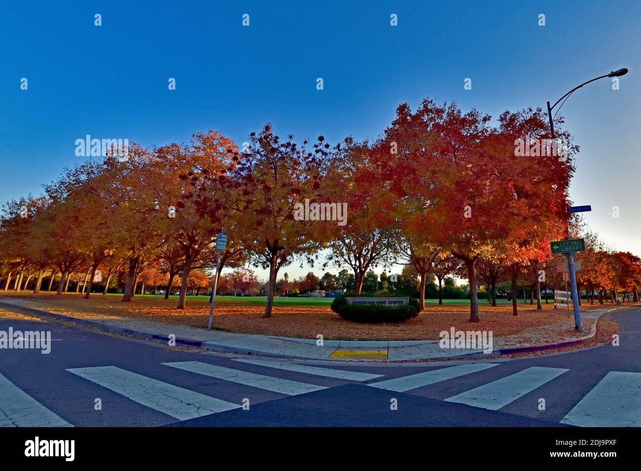 Fall Foliage al Cupertino Civic Center Foto Stock