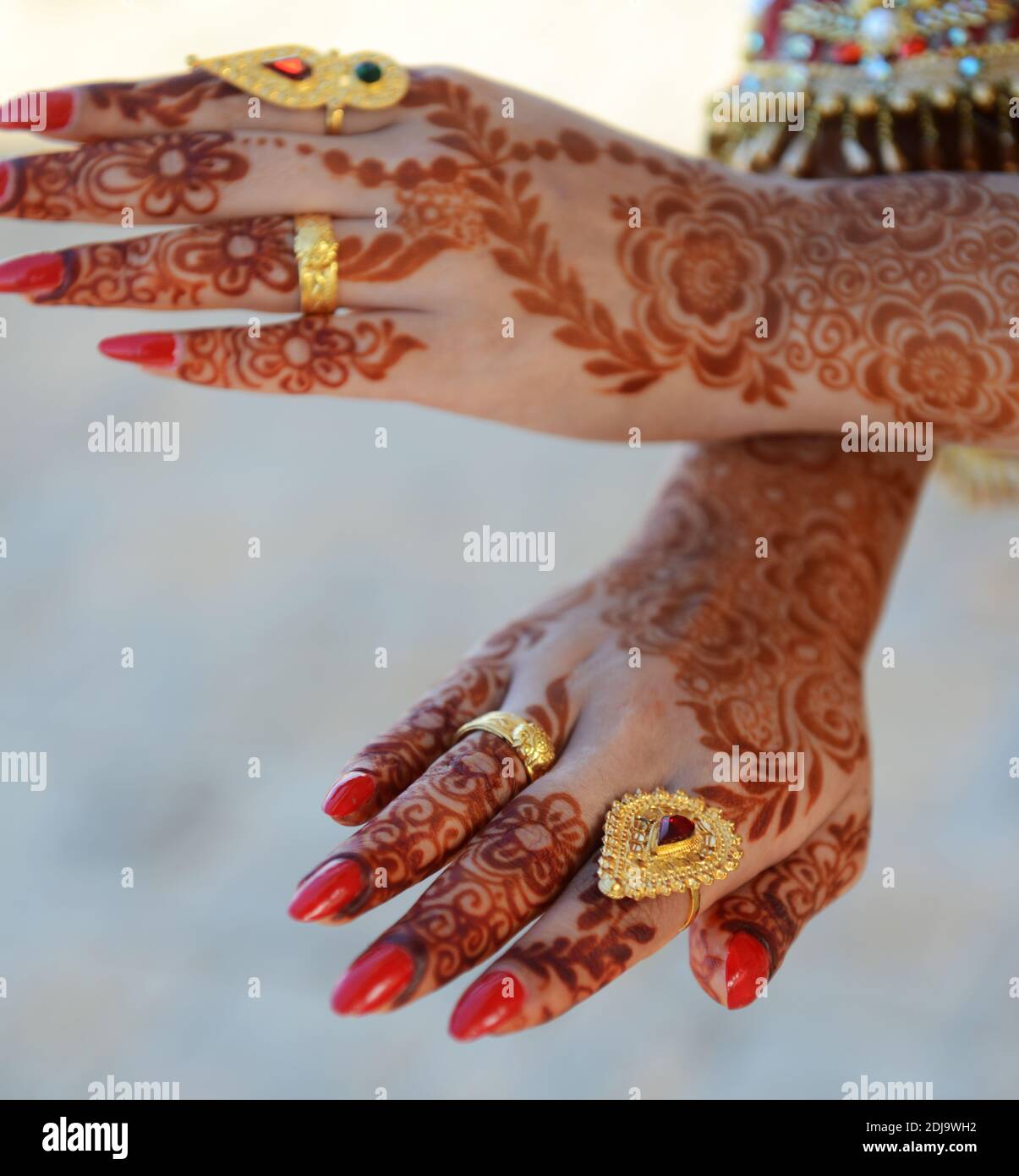 Una donna decorata a mano con bellissimi disegni hennè. Foto Stock