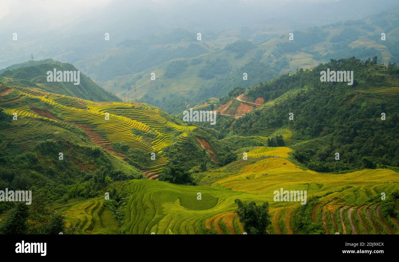 Paesaggio di risaie terrazzate in Sapa, Vietnam. Foto Stock