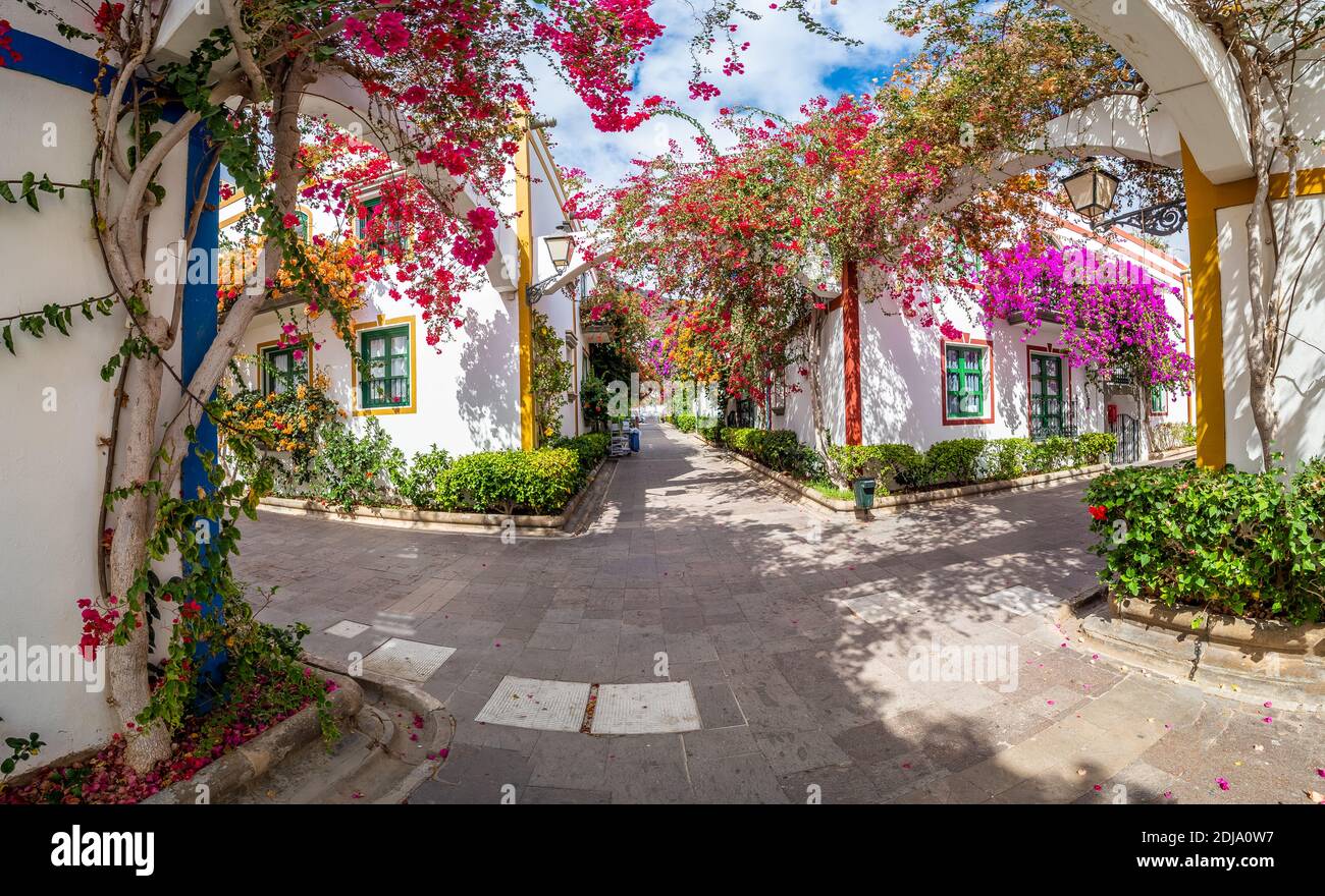 Strada con fiori in Puerto de Mogan, Gran Canaria Island, Spagna Foto Stock