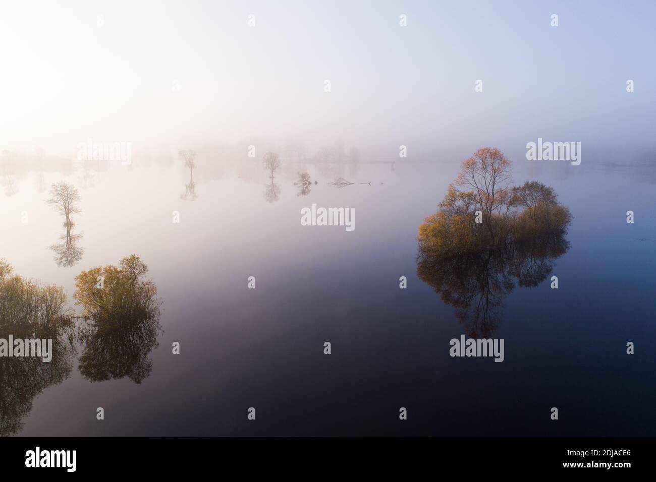 Parco nazionale di Soomaa durante un'alluvione autunnale conosciuta anche come la Quinta stagione in una mattinata foggosa nella natura estone, nel Nord Europa. Foto Stock