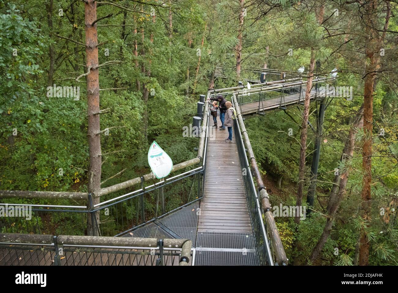 Passeggiata in cima all'albero a Biosphärenhaus Pfälzerwald / Nordvogesen Foto Stock