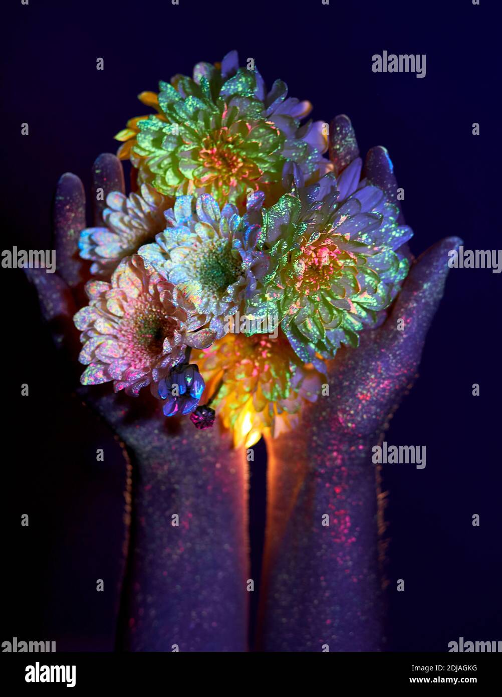 Mani di bellezza di una donna in luce ultravioletta con fiori nelle palme. Cosmetici per la cura della pelle delle mani Foto Stock