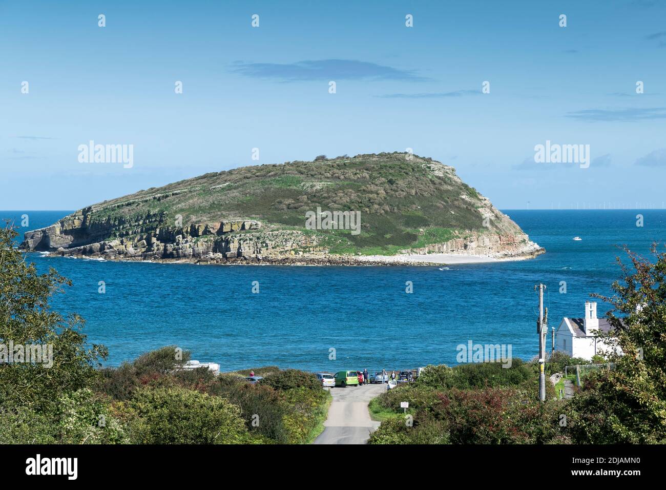 Puffin Island o Ynys Seiriol della costa di Anglesey Galles del Nord, Regno Unito Foto Stock