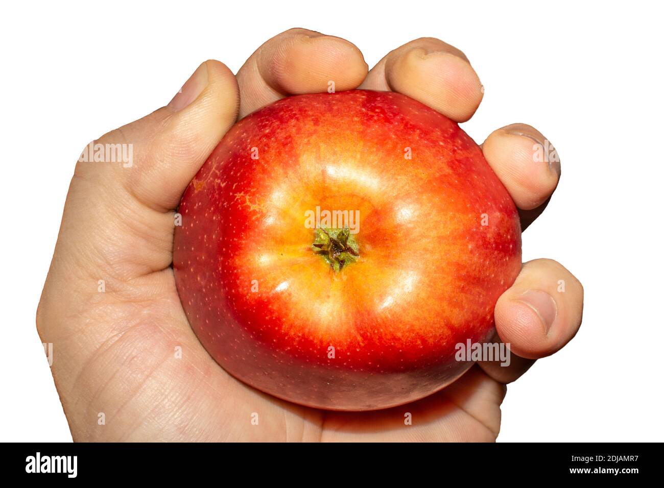Mele fresche raccolte da un giardino. Apple stretta in mano. Foto Stock