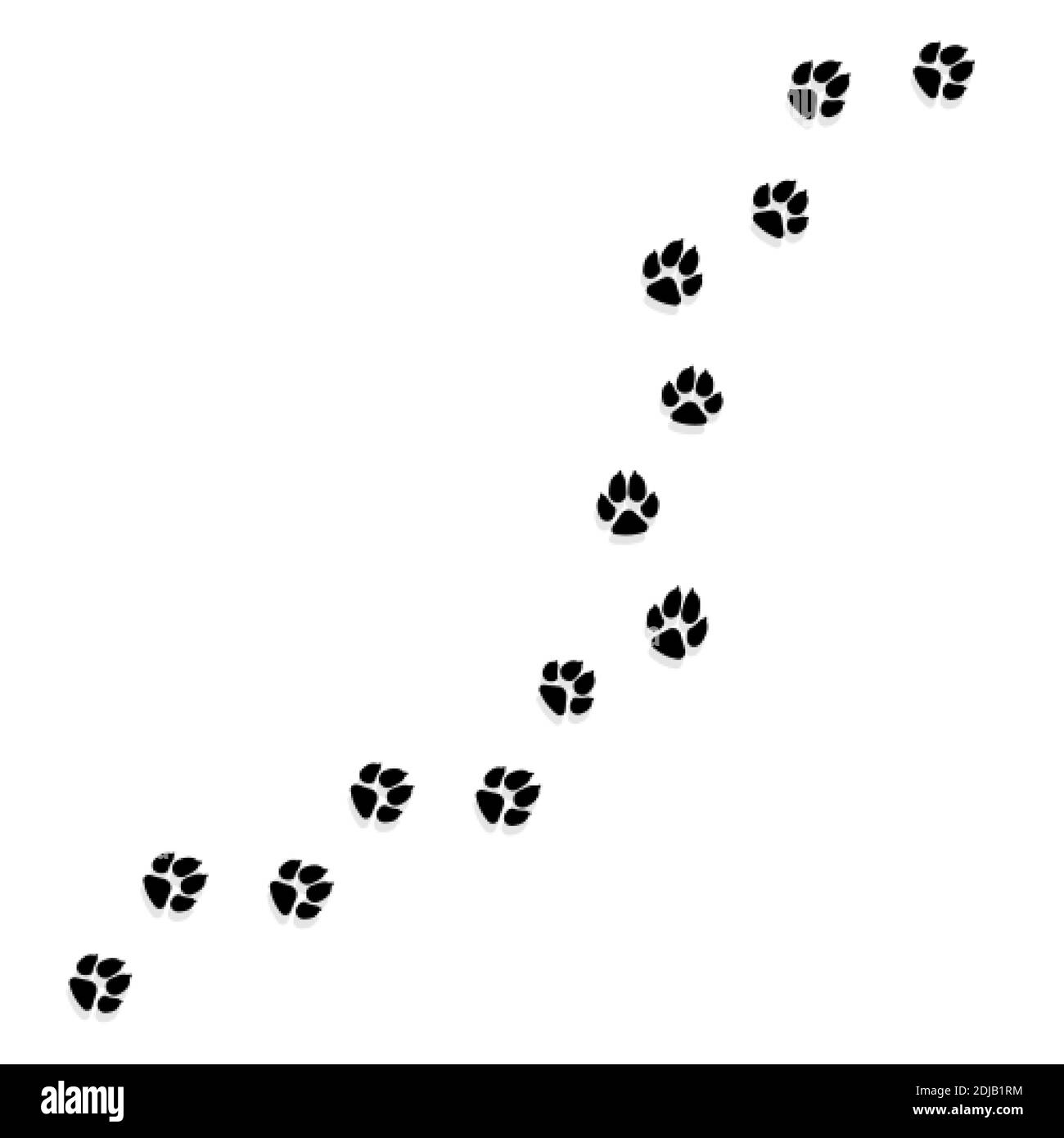 Stampa Cat o Dog Paw. Animali domestici o animali Paw Trail. Illustrazione vettoriale Illustrazione Vettoriale