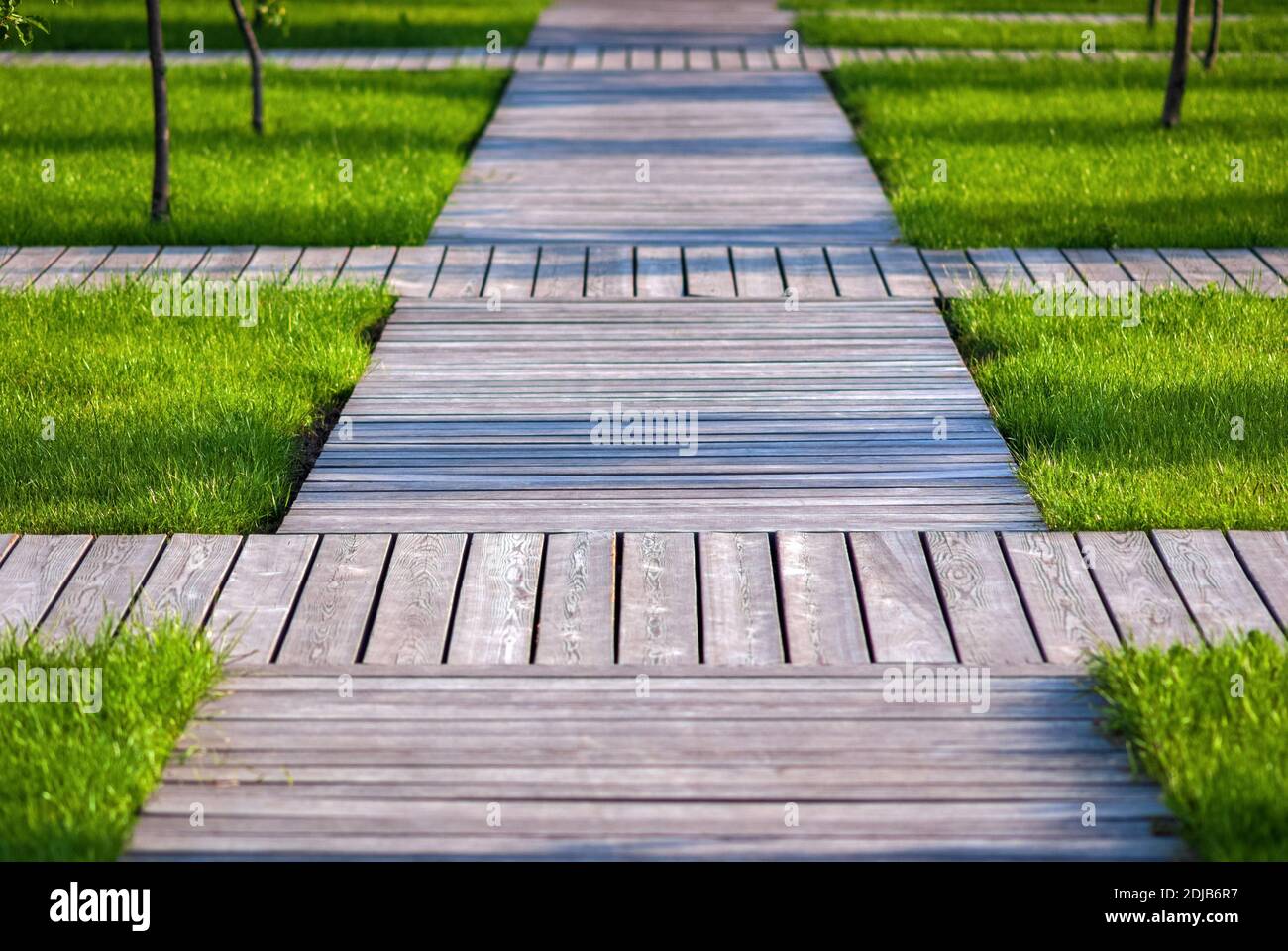Sentieri in legno giardino - passaggi pedonali di tavole in legno naturale tra erba verde e alberi Foto Stock