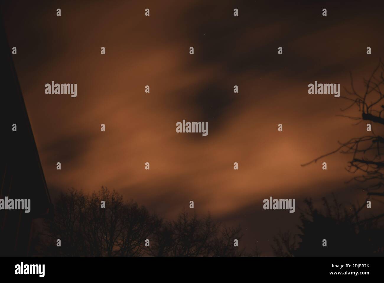 Nuvole che si muovono rapidamente su un cielo notturno drammatico dietro gli alberi Foto Stock