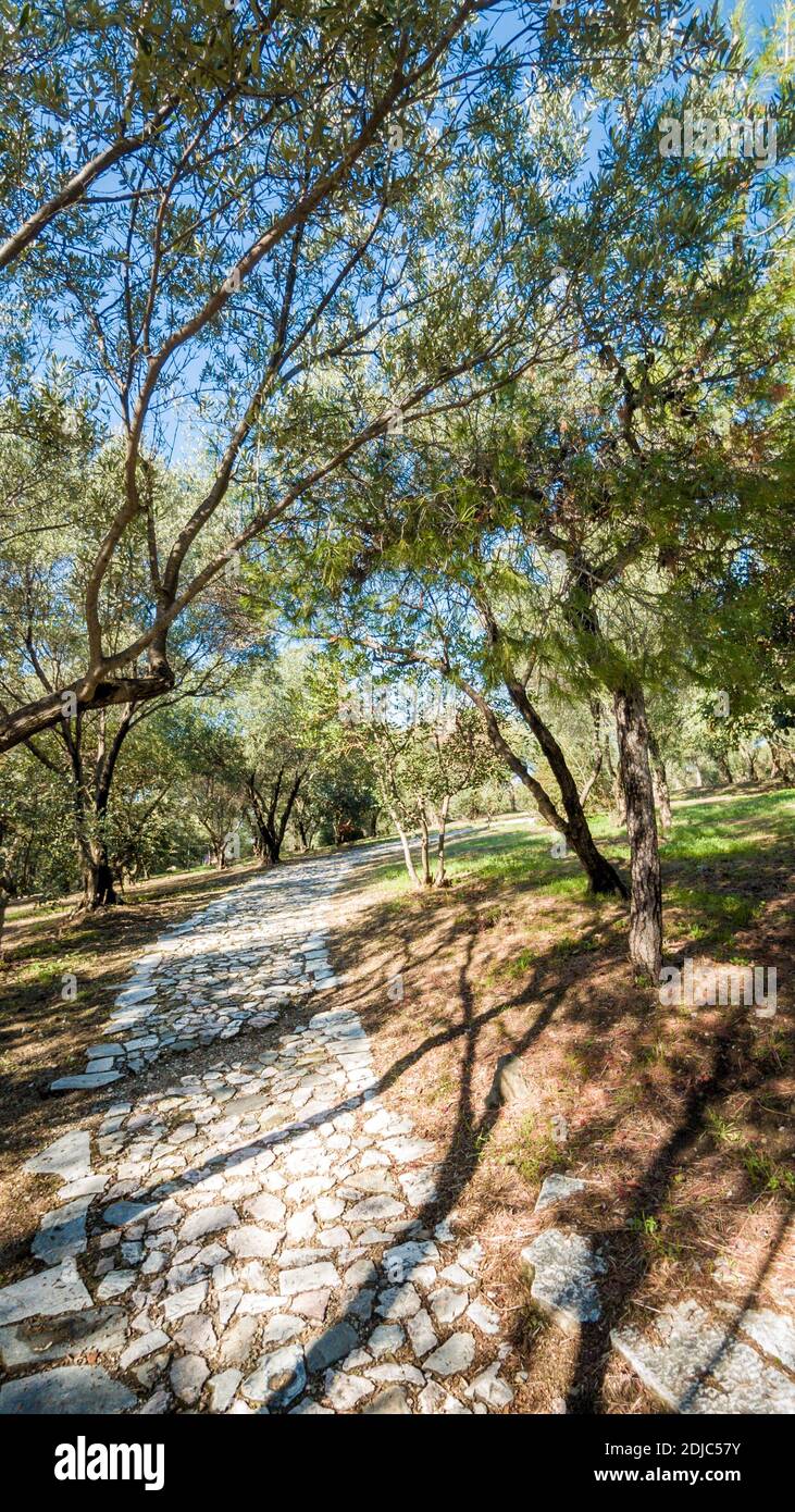 Parco nell'area dell'Acropoli, ad Atene, Grecia, Europa. Foto Stock