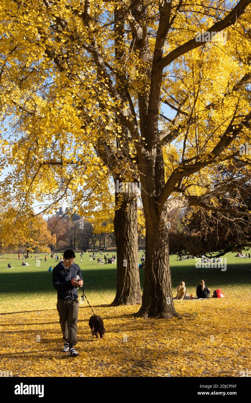 La Sheep Meadow è una zona tranquilla nel centro di Park, New York, Stati Uniti d'America Foto Stock