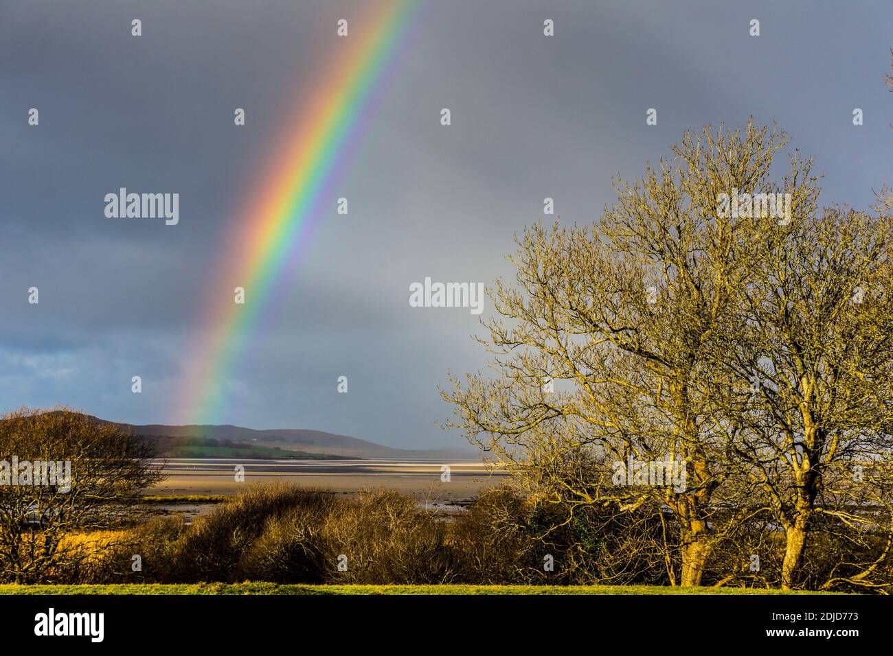 Ardara, Contea di Donegal, Irlanda . Arcobaleno e alberi invernali sul villaggio costiero. Foto Stock