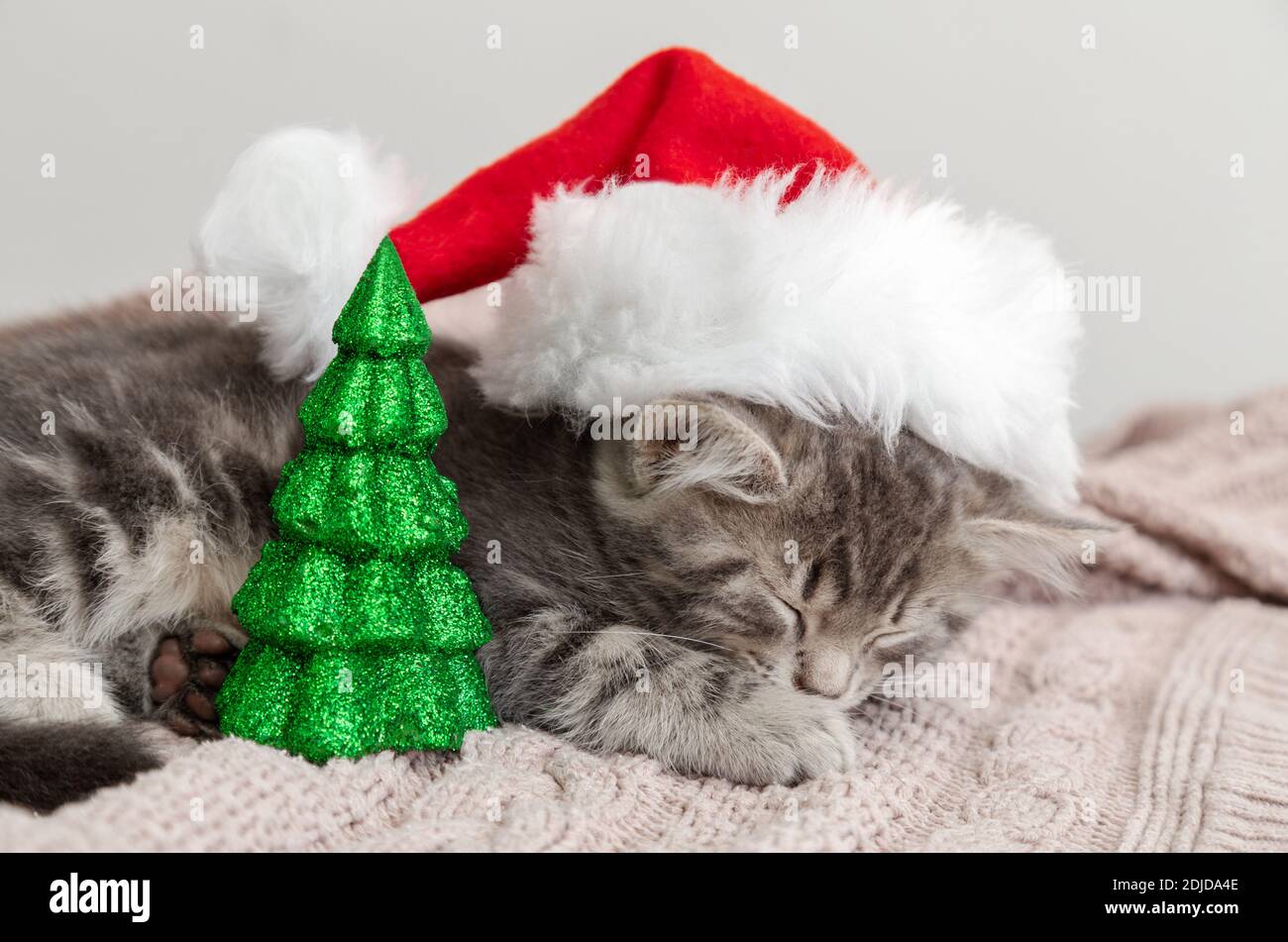 Soetta Decorazione Albero Di Natale Gatto Babbo Natale - Ornamento Artigianale Americano Dorato Con Cordino
