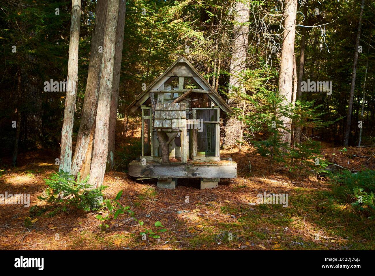 Qualcuno costruì una piccola fantasia, casa d'uccello in stile gnome e la pose nei boschi, adorata con merli di cedro, muschio. A Surry, Maine. Foto Stock