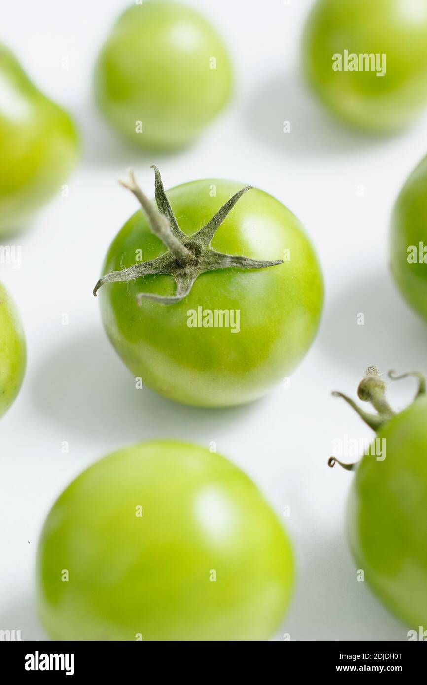 Solanum lycopersicum. Pomodori verdi su sfondo bianco. REGNO UNITO Foto Stock