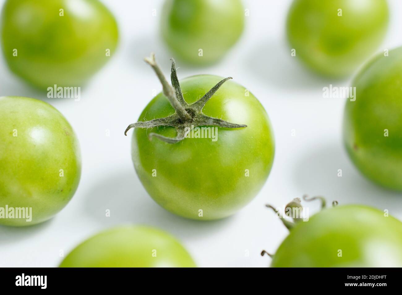 Solanum lycopersicum. Pomodori verdi su sfondo bianco. REGNO UNITO Foto Stock