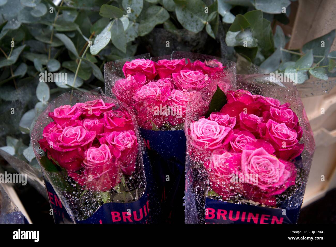 Londra Dicembre 2020. Columbia Road, Tower Hamlets. Mercato dei fiori della domenica. Rose importate in Olanda Foto Stock