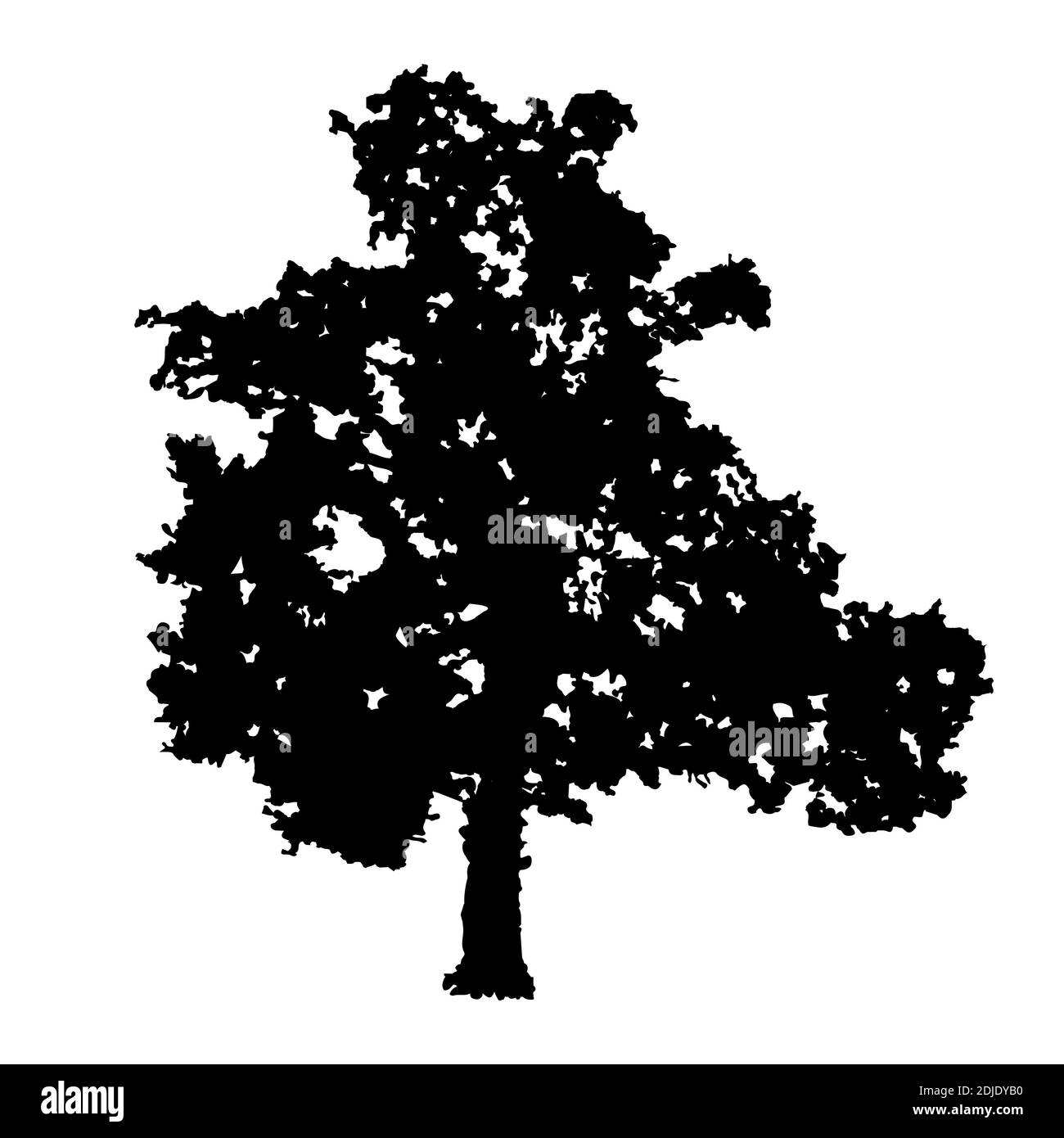 Silhouette ad albero isolata su sfondo bianco. Icona di quercia. Forma nera albero realistico con foglie silhouette.contorno disegno piatto.illustrazione vettoriale Illustrazione Vettoriale