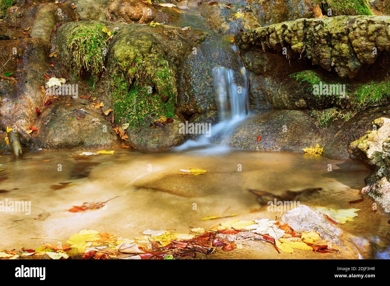 Particolare del torrente di montagna nel Parco Nazionale di Cheile Nerei Beusnita, Romania Foto Stock