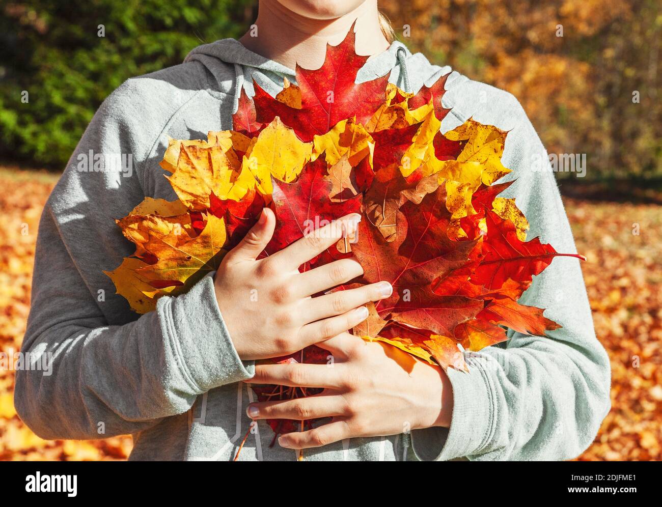 Giovane ragazza adolescente tenendo un mucchio di giallo e rosso di foglie di acero nelle sue mani in una luminosa giornata di sole in autunno park, vista frontale, non faccia visibile Foto Stock