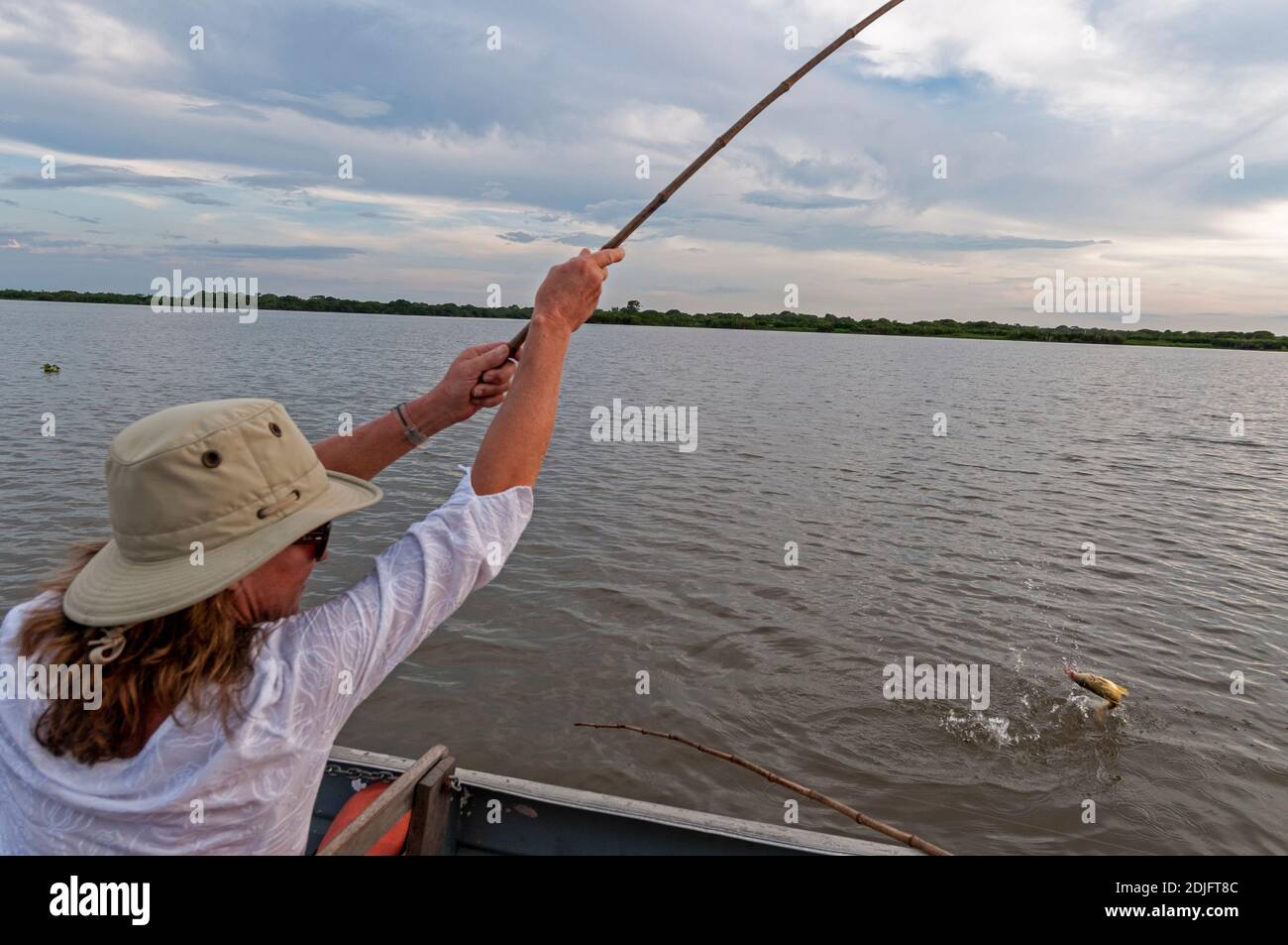 Un turista brasiliano aggancia un pesce gatto a sussurro lungo a bordo di un Escursione turistica di avvistamento della fauna selvatica sul fiume Mutum nel Pantanal del Brasile Foto Stock