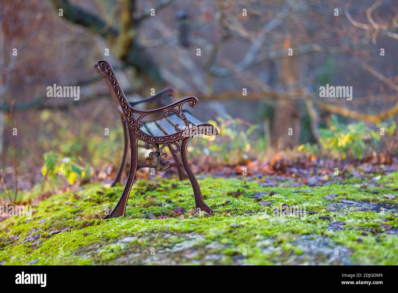 Divano su roccia in parco ambiente naturale II Foto Stock