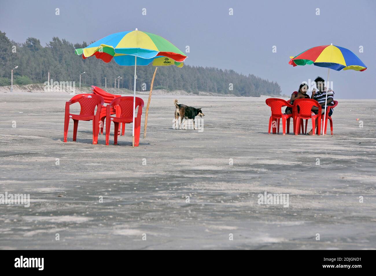 La spiaggia di Bakkhali è forse la spiaggia più mozzafiato dell'India. La vicina costa di 7 km non è solo la vista più spettacolare del mare. Foto Stock