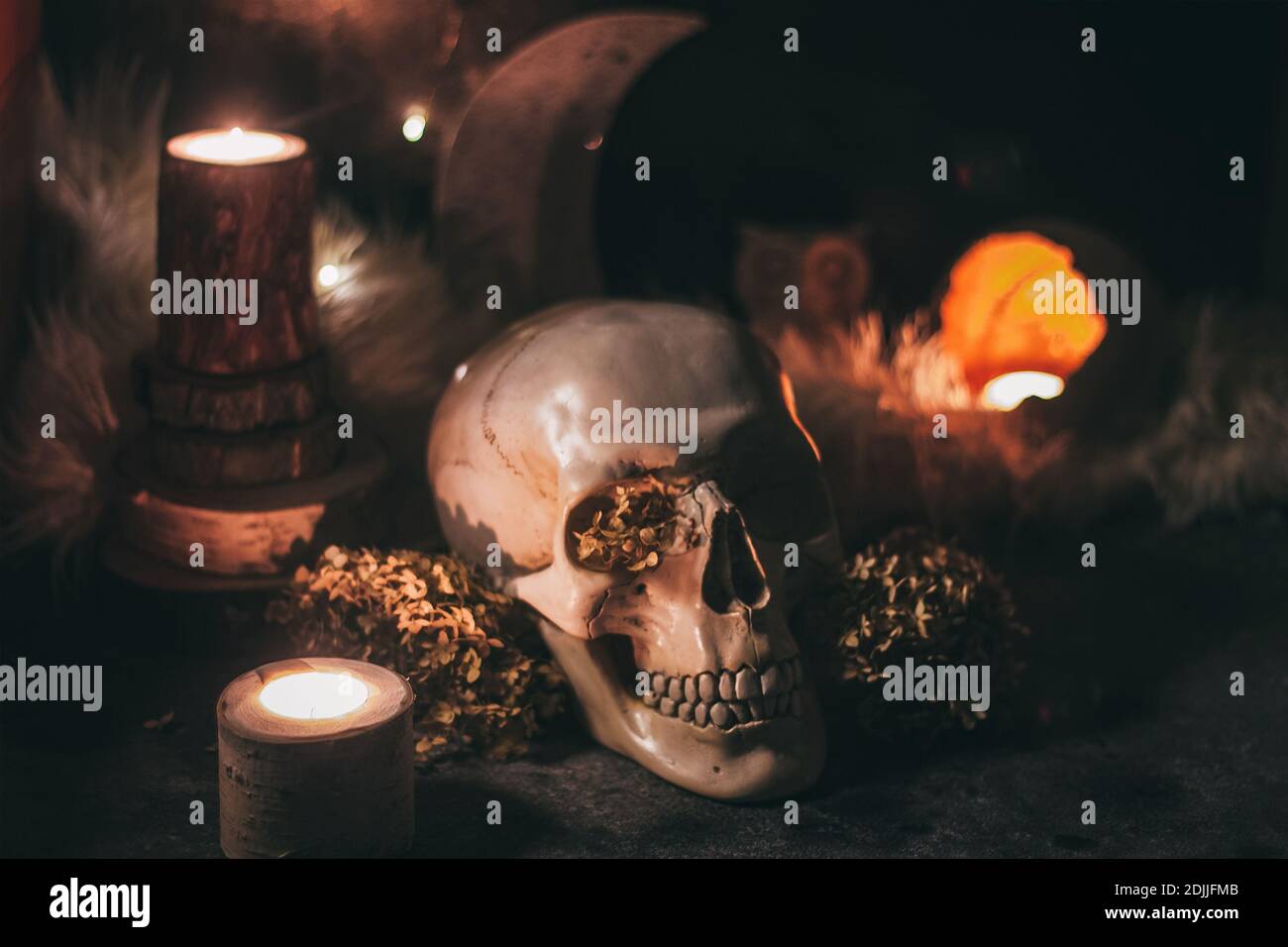 Scena di stregoneria occulta mistica rituale halloween - cranio umano, candele, fiori secchi, luna e gufo. Foto Stock