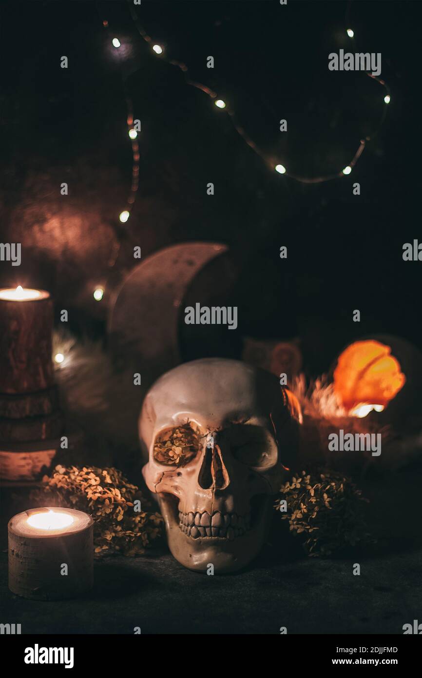 Scena di stregoneria occulta mistica rituale halloween - cranio umano, candele, fiori secchi, luna e gufo. Foto Stock