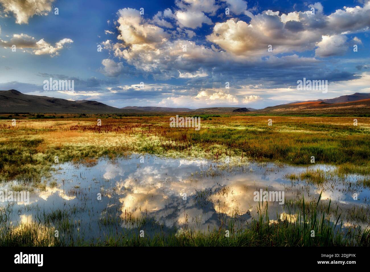 Tramonto nubi sul laghetto. Black Rock Desert National Conservation Area. Nevada Foto Stock