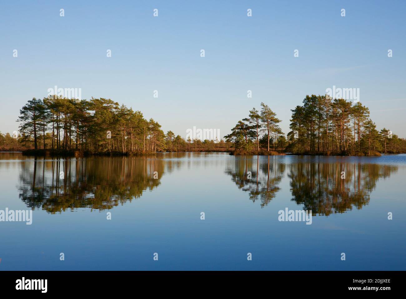 Lago di Bog in autunno sera Foto Stock