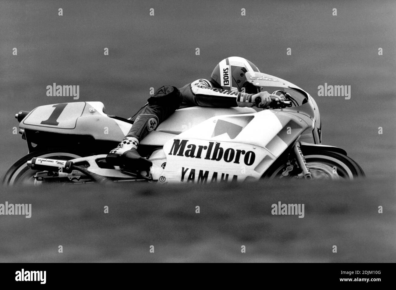 Eddie Lawson, (USA), Yamaha 500, Moto GP 500 1984 Foto Stock