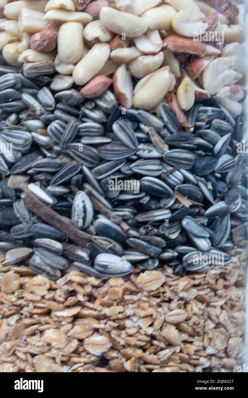 Seme di uccello per gli uccelli invernali in un vaso. Cibo grasso, semi di girasole e arachidi sono popolari. Foto Stock