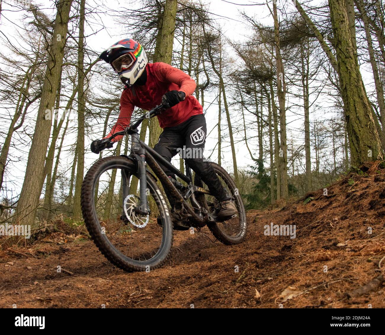 Harry lo strappa sulla discesa Mountain Bike Foto Stock