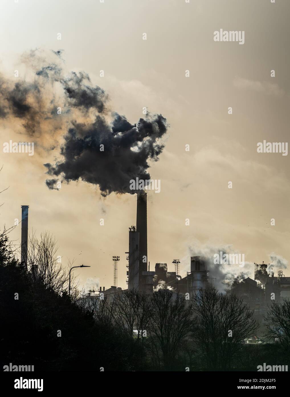Emissioni di fabbrica - Chimneys fabbrica di barbabietole da zucchero - il fumo e il vapore Backlit provengono dallo stabilimento British Sugar di Bury St Edmunds Suffolk UK Foto Stock