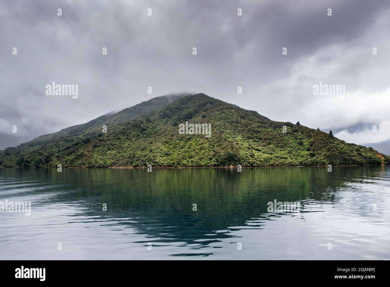 Marlborough Sounds, Nuova Zelanda, giovedì 26 novembre 2020. Foto Stock