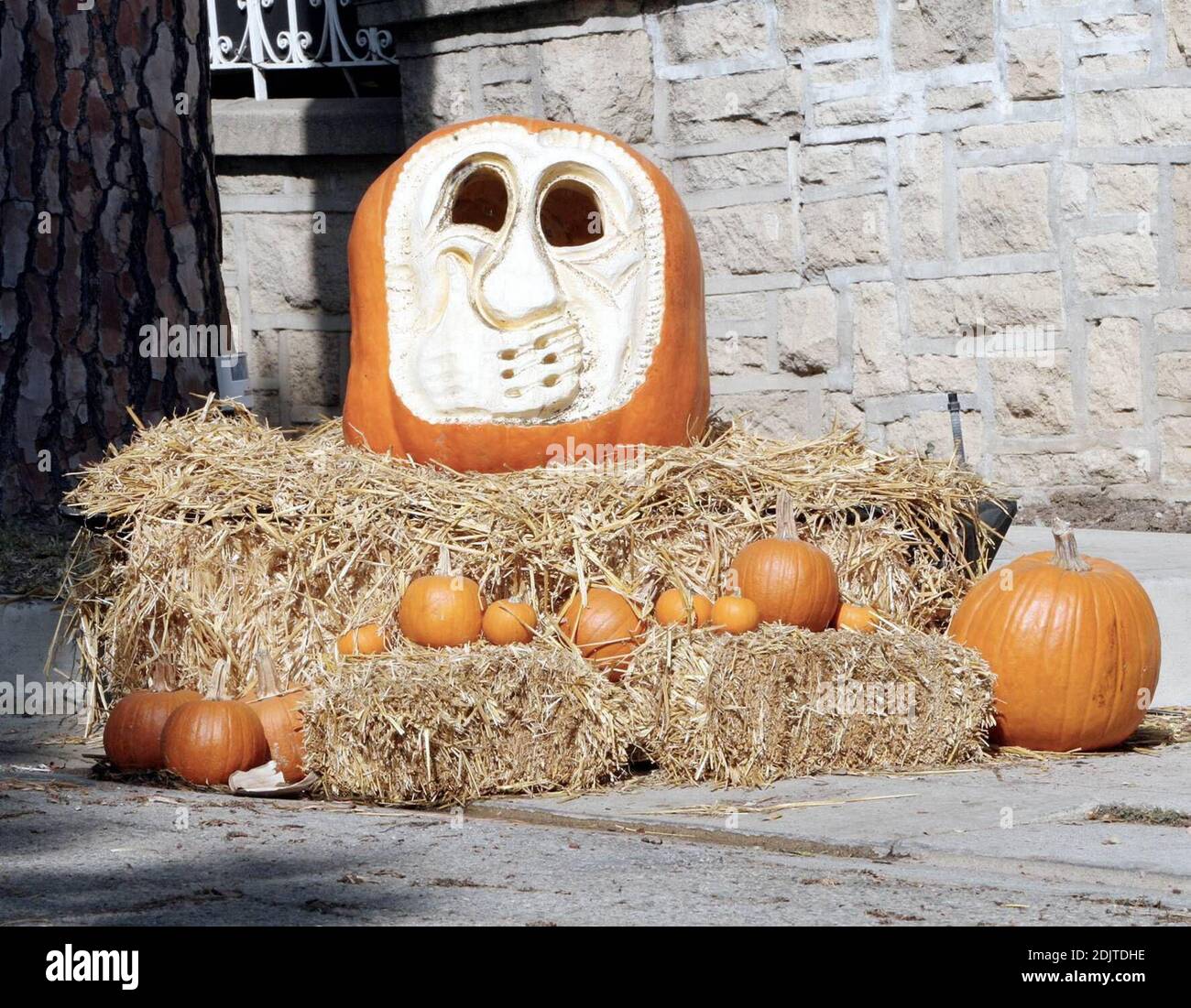 Questa zucca ha un segreto! I suoi proprietari sono celebrità coppia Tom Cruise e Katie Holmes. La zucca è in mostra fuori della casa di Beverly Hills della coppia a CA. 11/1/06 Foto Stock Questa zucca ha un segreto! I suoi proprietari sono celebrità coppia Tom Cruise e Katie Holmes. La zucca è in mostra fuori della casa di Beverly Hills della coppia a CA. 11/1/06 Foto Stock