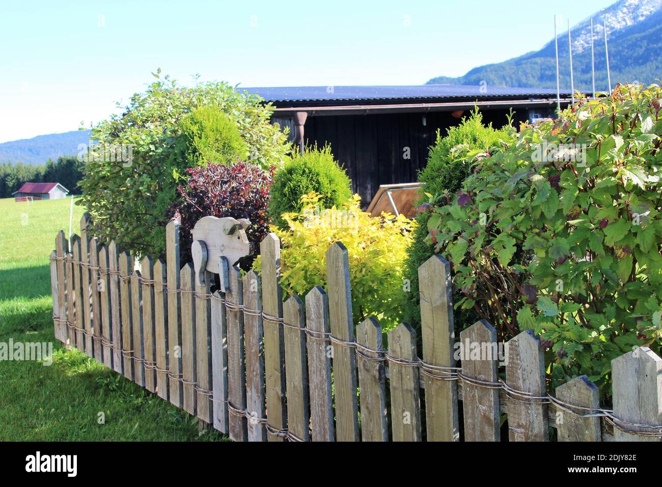Tempo libero, giardino, giardino di assegnazione nei prati umpback vicino Mittenwald, maiale, figura decorativa, recinzione, perenni, cespugli, atmosfera Foto Stock