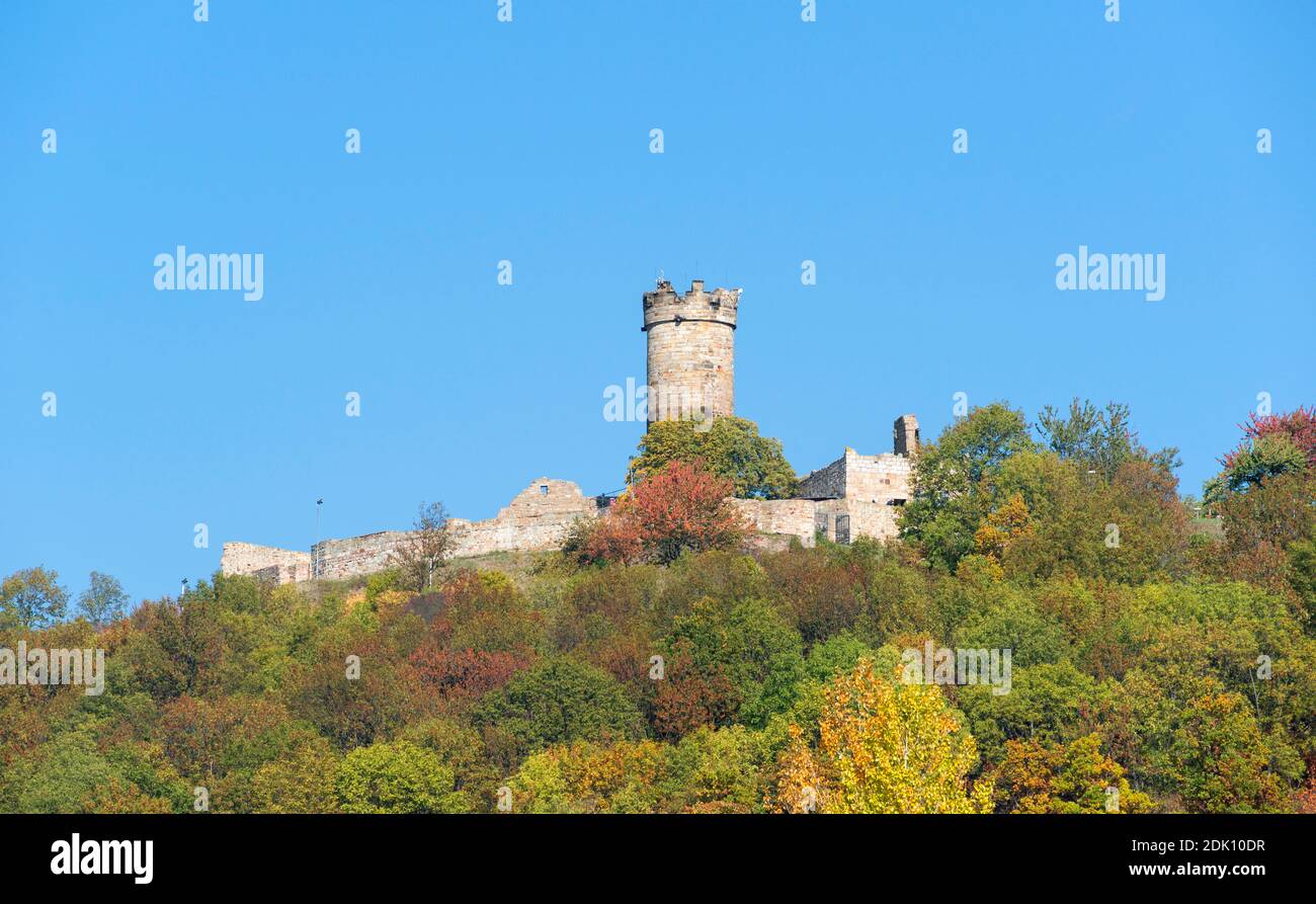 Germania, Turingia, Drei Gleichen - Mühlberg, foresta autunnale vicino al Mühlburg. Foto Stock