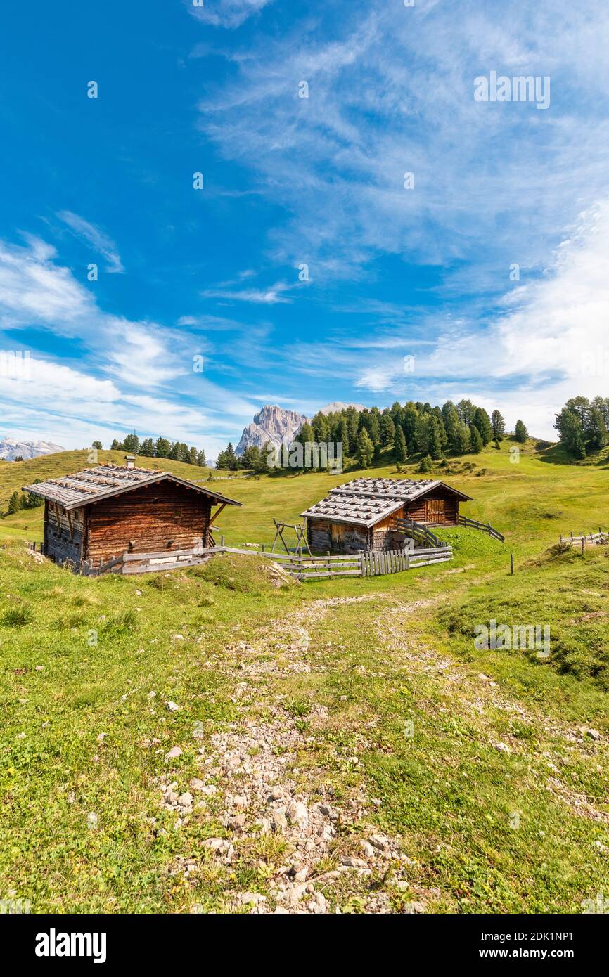 Baite tradizionali sui pascoli dell'Alpe di Siusi, paesaggio alpino dell'Alto Adige / Südtirol, Dolomiti, provincia di Bolzano, Italia, Europa Foto Stock