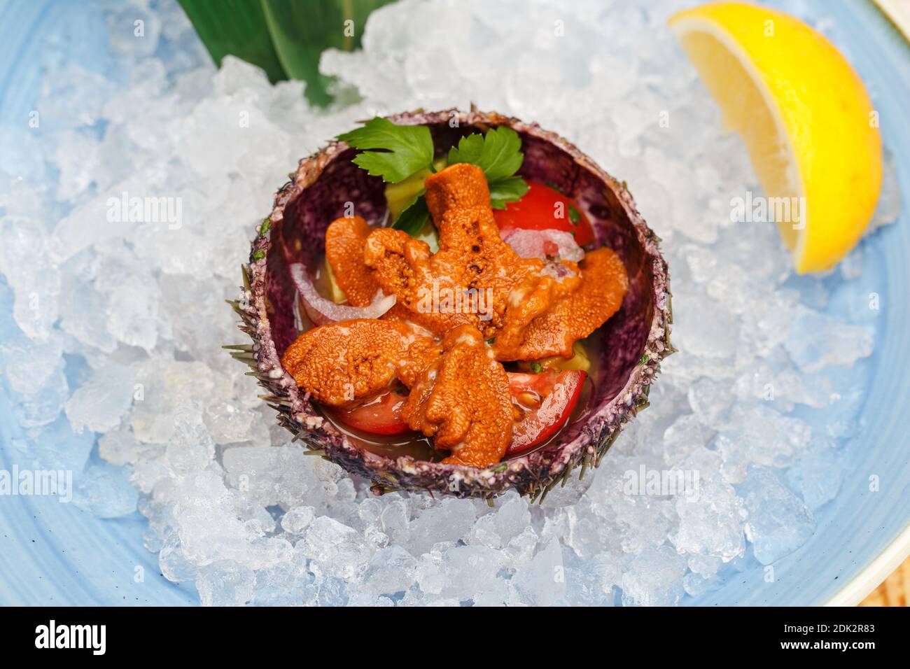 Riccio di mare in una ciotola di ceramica con ghiaccio. Piatto di ricci di mare. Foto Stock