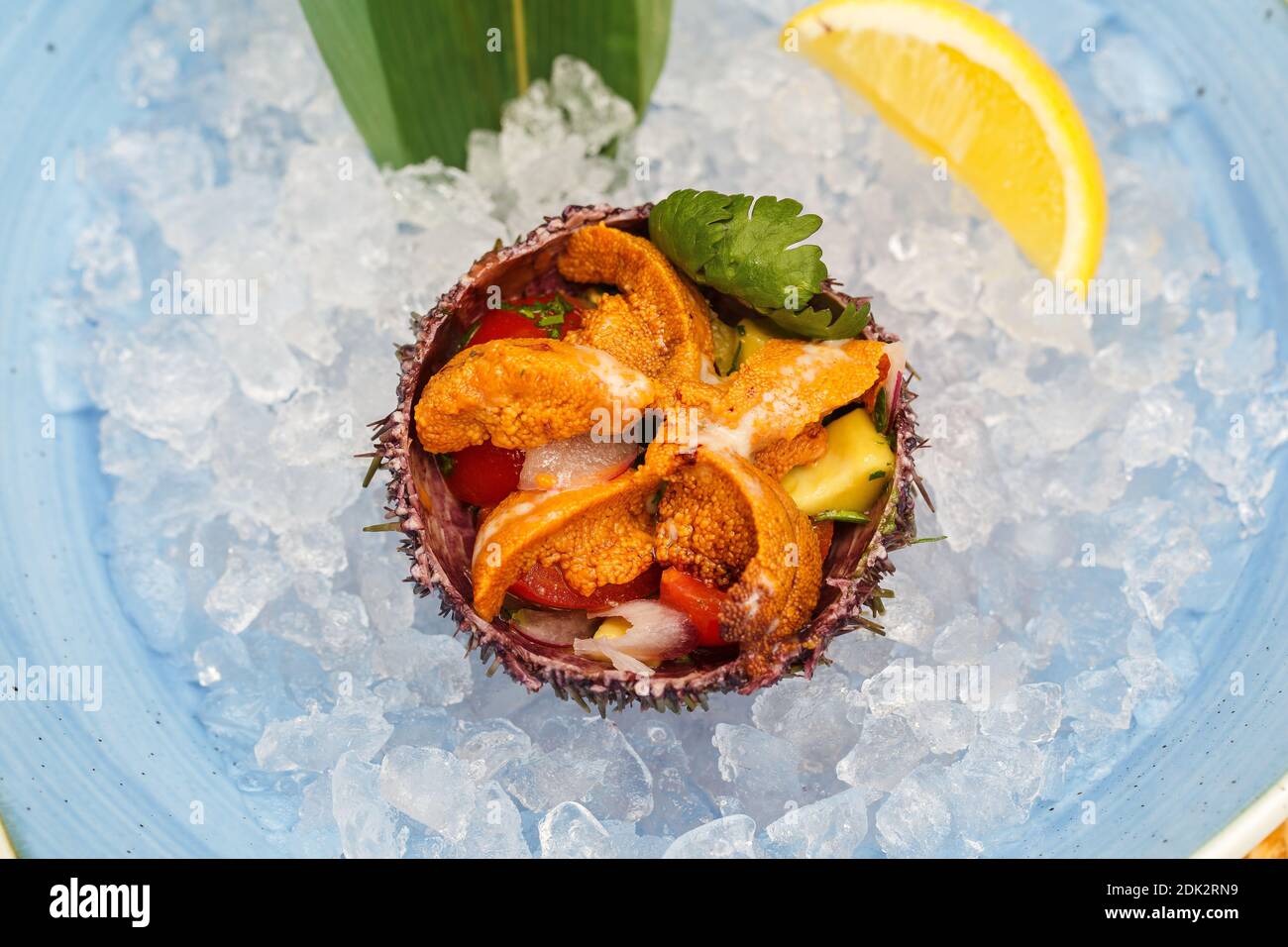 Riccio di mare in una ciotola di ceramica con ghiaccio. Piatto di ricci di mare. Foto Stock