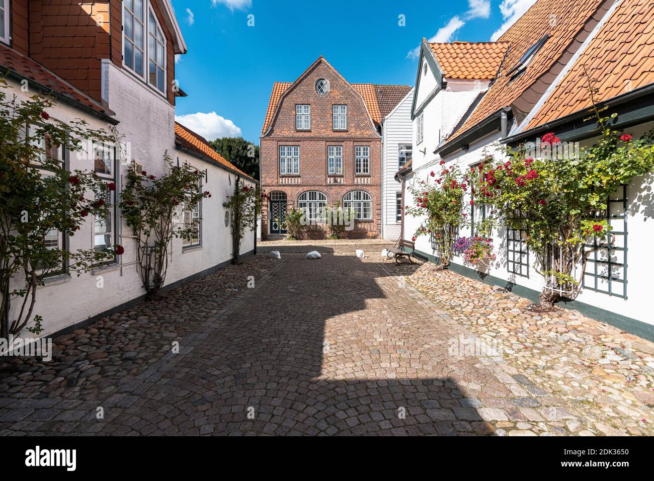 Cortile con rose, città vecchia, città di Husum, Mare del Nord, Schleswig-Holstein, Germania, Europa Foto Stock