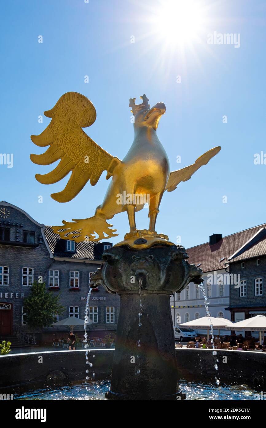 Germania, bassa Sassonia, Harz, città Goslar, piazza del mercato, fontana con aquila di pozzo, Foto Stock