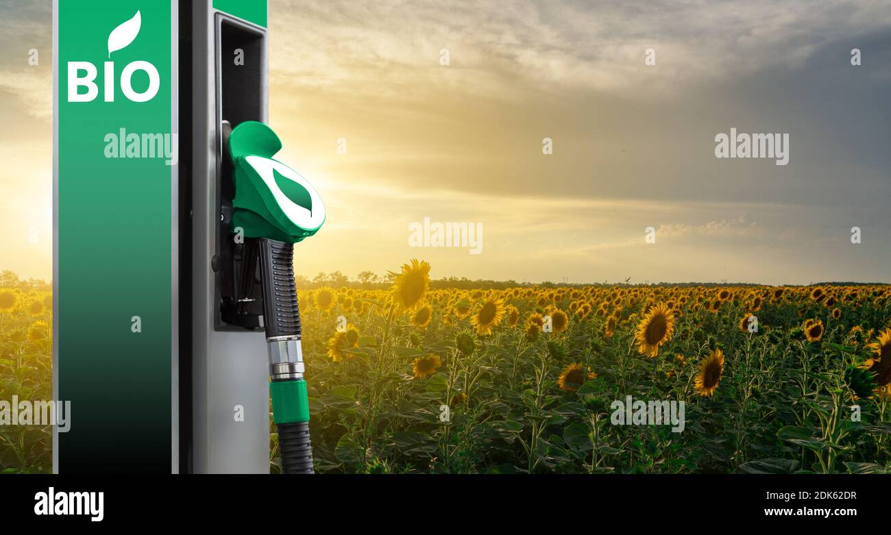 Stazione di riempimento biocarburante sullo sfondo del campo di girasole Foto Stock