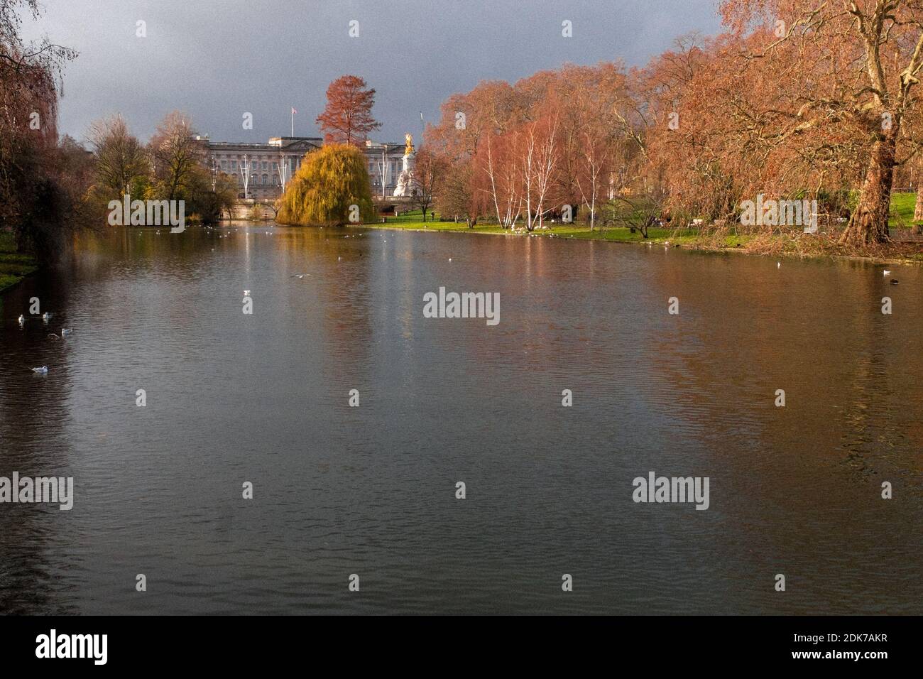 St James Park Lake, preso dal ponte che guarda a Buckingham Palace, St James Park, Westminster, Londra, Regno Unito Foto Stock