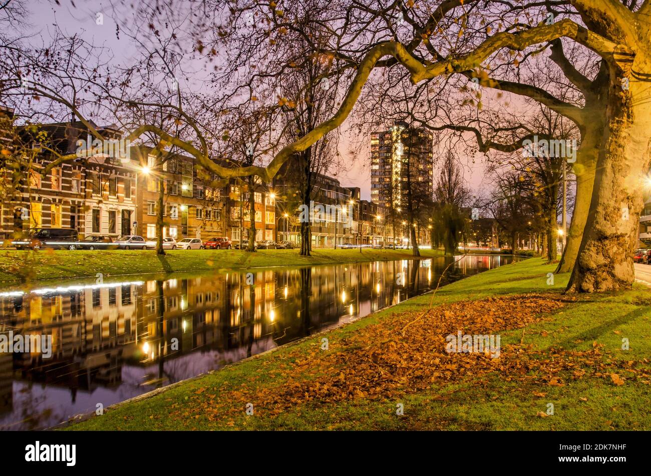 Rotterdam, Paesi Bassi, 13 dicembre 2020: Vista lungo il canale di Noordsingel, con platani, case storiche e sentieri luminosi, durante l'ora blu A. Foto Stock